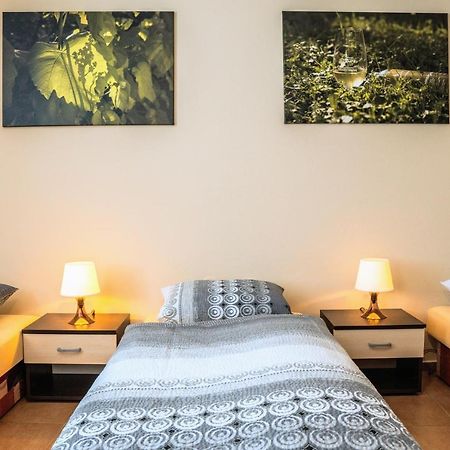 Ubytovani Ve Vinarstvi Medek | Medek House & Winery Uherské Hradiště Eksteriør billede