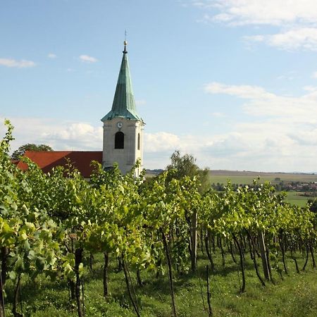 Ubytovani Ve Vinarstvi Medek | Medek House & Winery Uherské Hradiště Eksteriør billede
