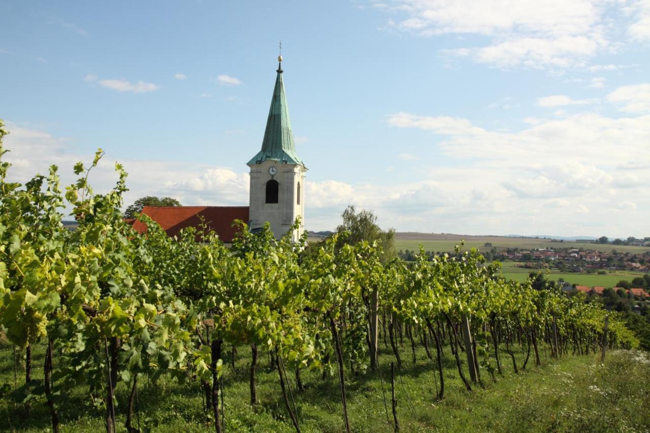 Ubytovani Ve Vinarstvi Medek | Medek House & Winery Uherské Hradiště Eksteriør billede