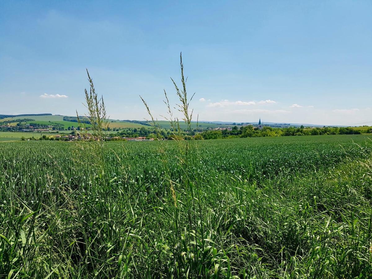 Ubytovani Ve Vinarstvi Medek | Medek House & Winery Uherské Hradiště Eksteriør billede