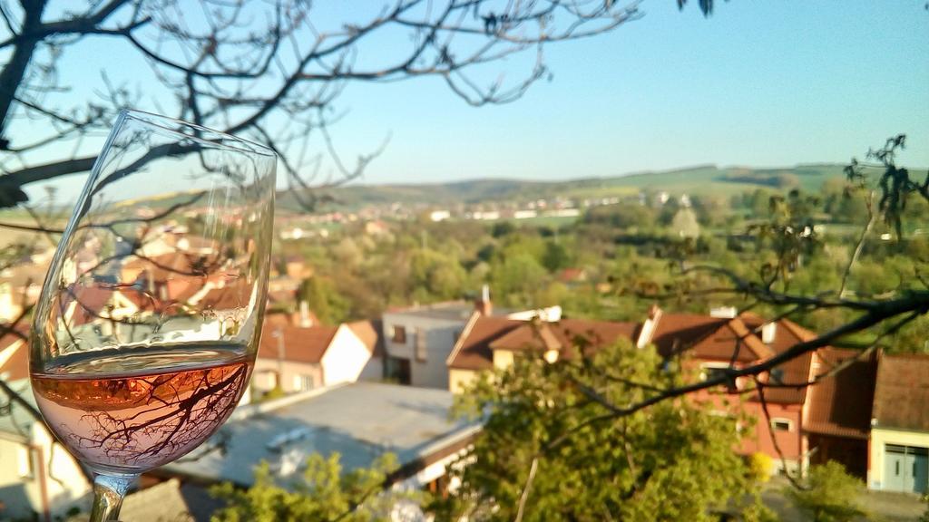 Ubytovani Ve Vinarstvi Medek | Medek House & Winery Uherské Hradiště Eksteriør billede