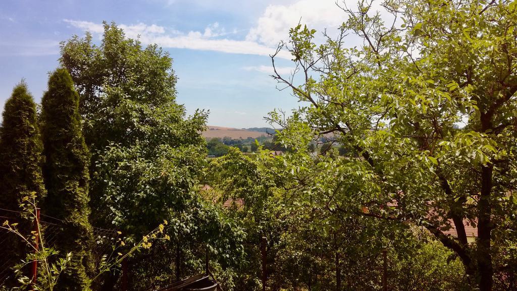 Ubytovani Ve Vinarstvi Medek | Medek House & Winery Uherské Hradiště Eksteriør billede