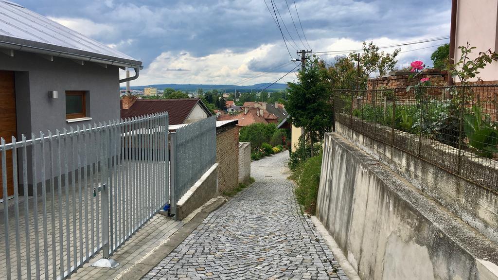 Ubytovani Ve Vinarstvi Medek | Medek House & Winery Uherské Hradiště Eksteriør billede