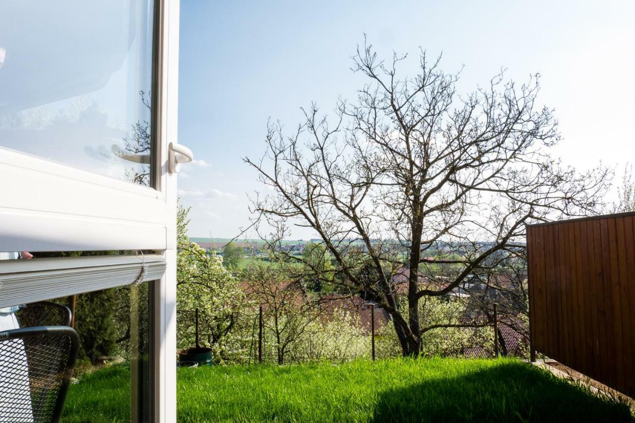 Ubytovani Ve Vinarstvi Medek | Medek House & Winery Uherské Hradiště Eksteriør billede