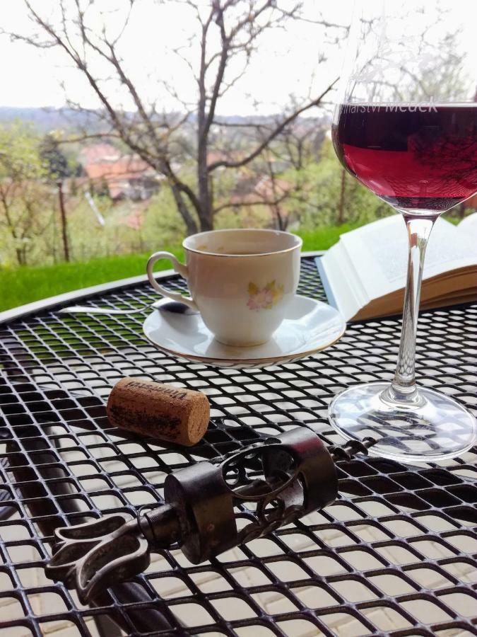 Ubytovani Ve Vinarstvi Medek | Medek House & Winery Uherské Hradiště Eksteriør billede